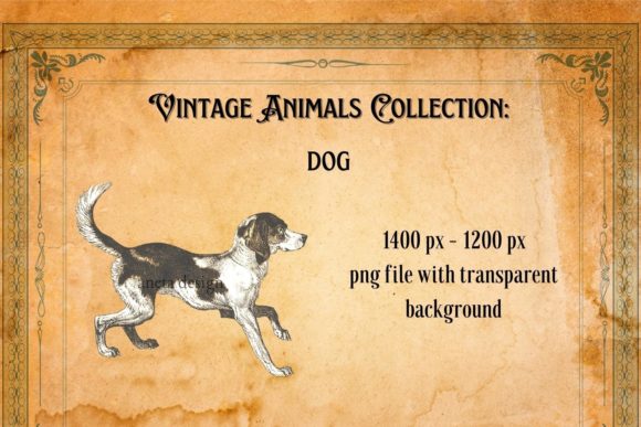 Charming Vintage Dog Illustration: A Designer's Asset