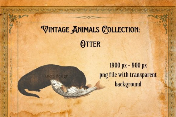 The Enduring Charm of a Vintage Otter Illustration