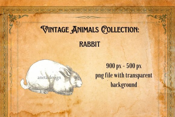 Timeless Charm: The Art of the Vintage Rabbit Illustration