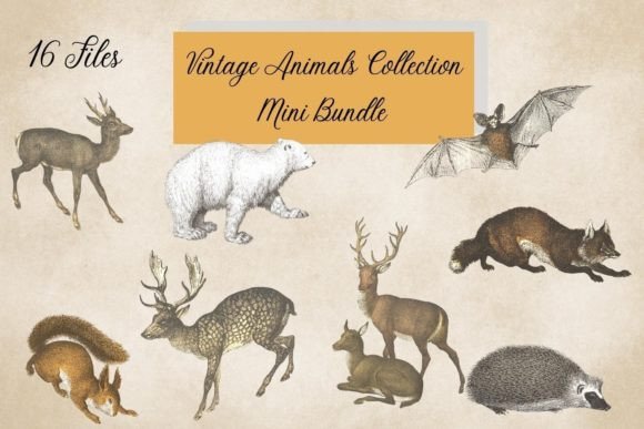 Vintage Forest Animals: Charming Illustrations for Modern Design