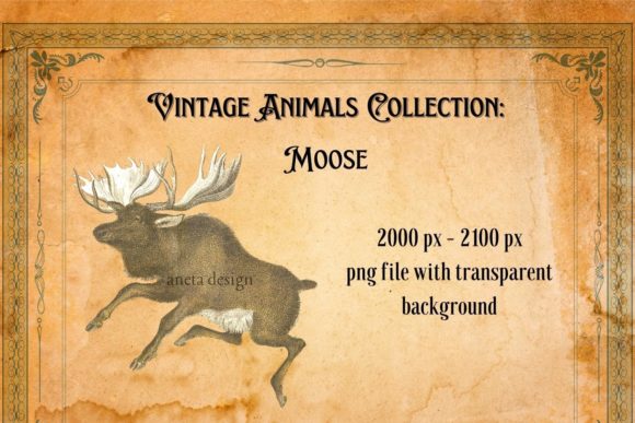 Vintage Moose Illustration: A Timeless Design Asset