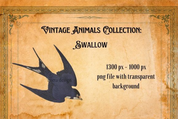 Vintage Swallow Illustration: A Timeless Design Asset